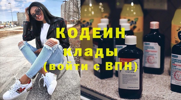 твердый Бородино