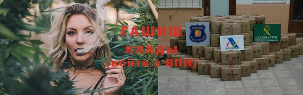твердый Бородино