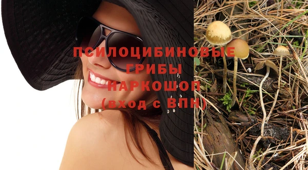 apvp Бугульма