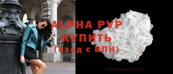 твердый Бородино