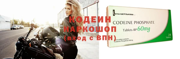 твердый Бородино