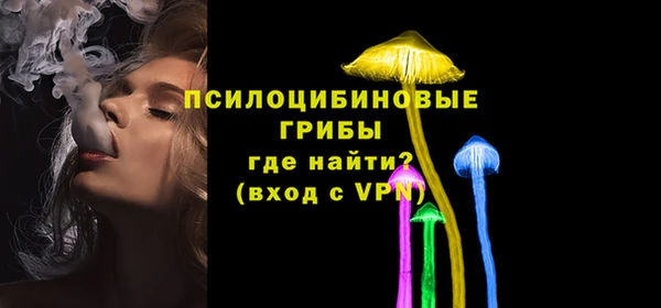 ГАЛЛЮЦИНОГЕННЫЕ ГРИБЫ Бронницы