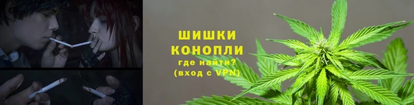 твердый Бородино