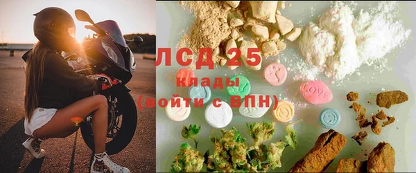 ГАЛЛЮЦИНОГЕННЫЕ ГРИБЫ Бронницы