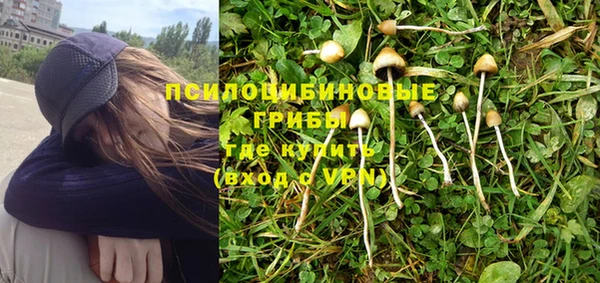 ГАЛЛЮЦИНОГЕННЫЕ ГРИБЫ Бронницы