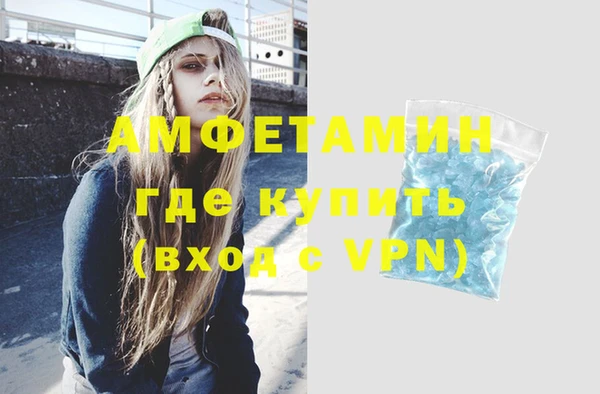 твердый Бородино