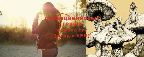apvp Бугульма