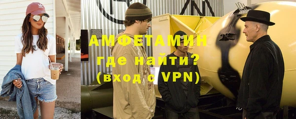 твердый Бородино
