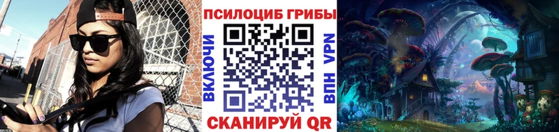 Галлюциногенные грибы Psilocybine cubensis Брянск