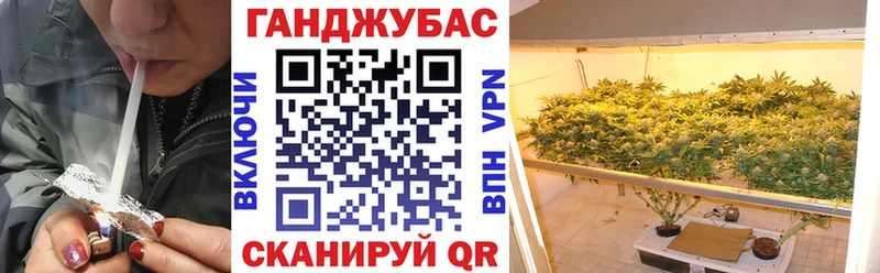 Каннабис план  как найти закладки  Брянск 